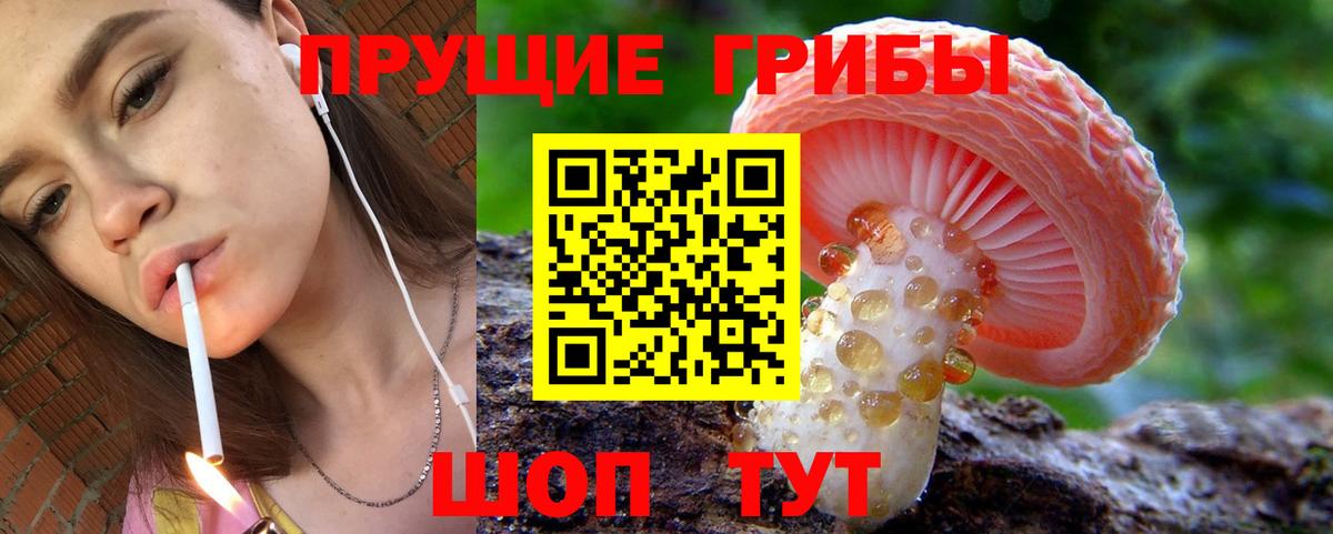 Галлюциногенные грибы ЛСД Вышний Волочёк